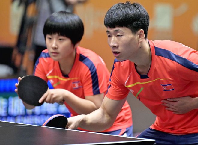 贝兹利的多 贝兹利的多