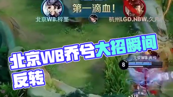 无数球迷的 无数球迷的