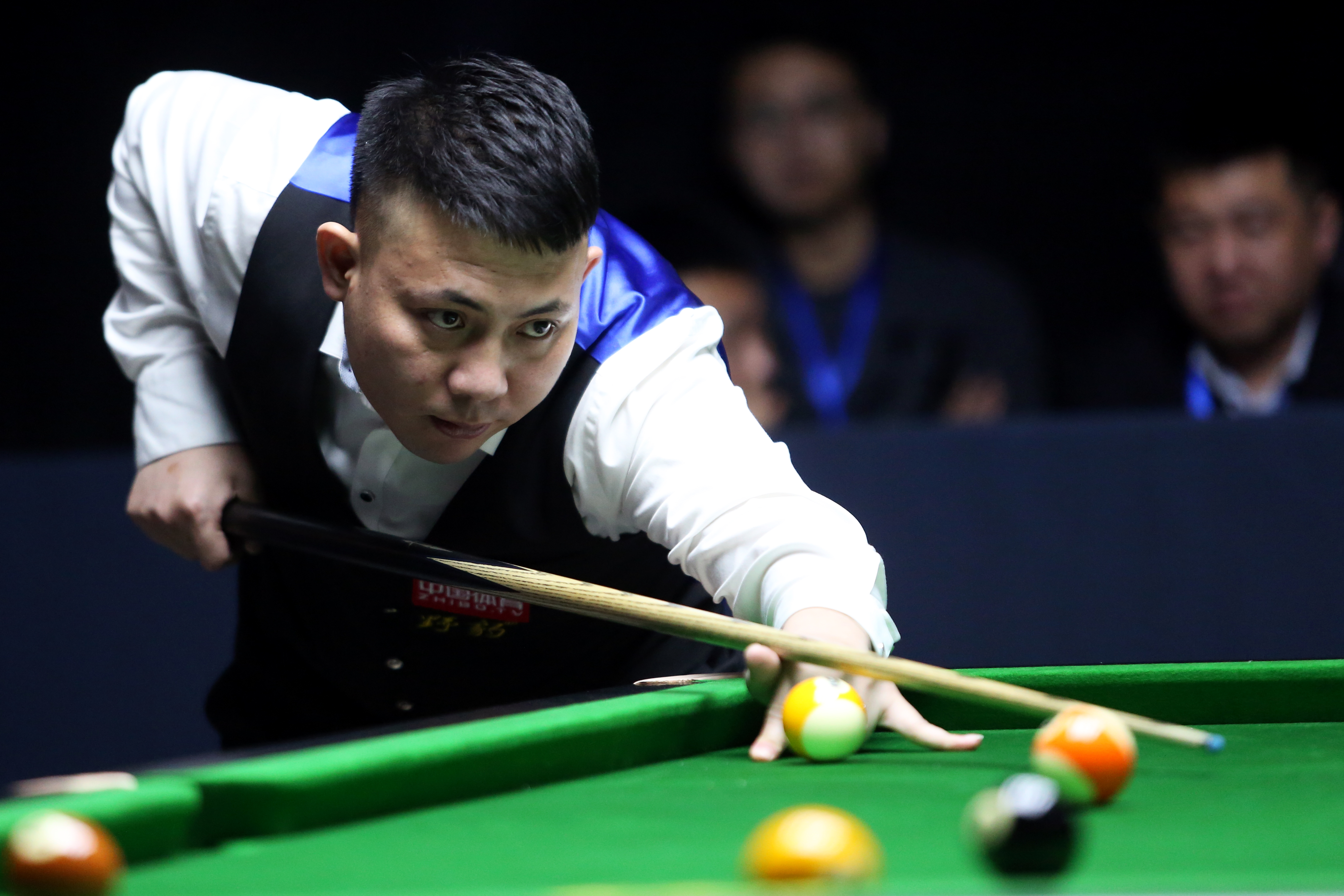 作为一只可 作为一只可